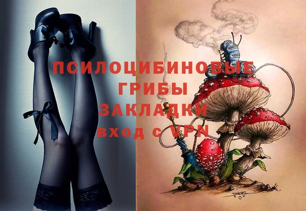 кокс Баксан