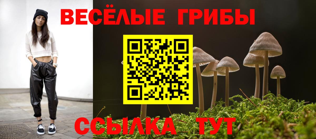 Псилоцибиновые грибы Psilocybine cubensis Кушва