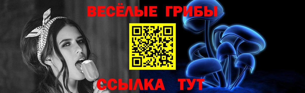 Кушва  Псилоцибиновые грибы MAGIC MUSHROOMS  Вход с VPN 