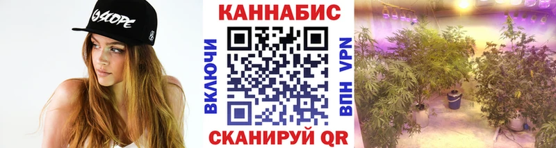 гидра   Кушва  Каннабис White Widow 