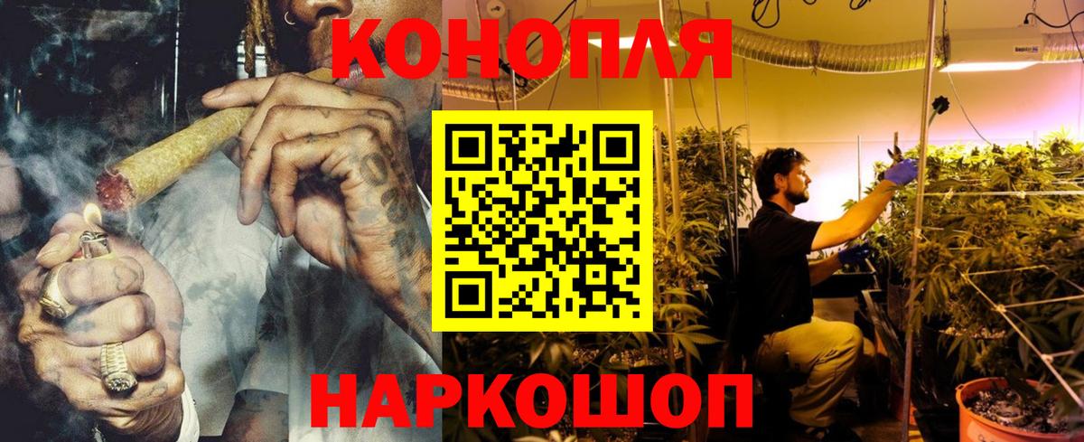Бошки марихуана конопля  Вход с VPN  Канабис AK-47  Каннабис сатива  Конопля гибрид  Кушва 
